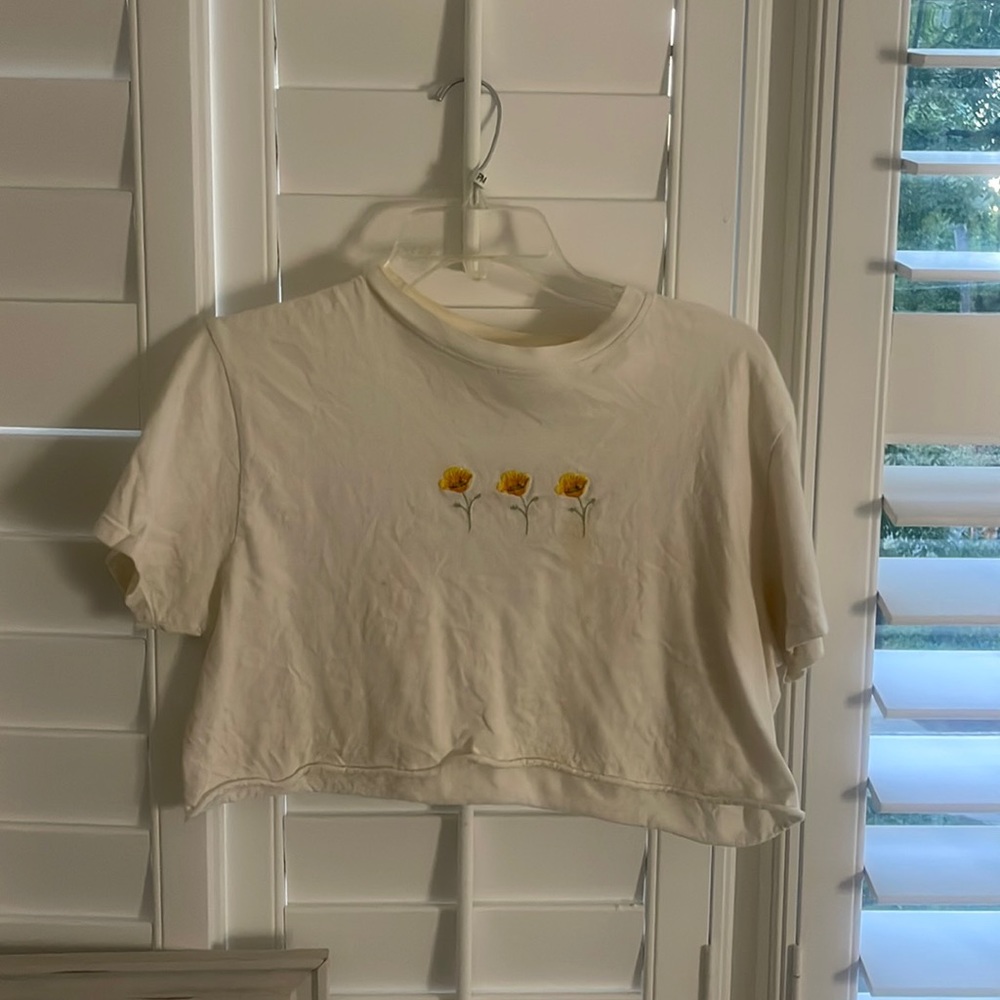 brandy melville crop tee